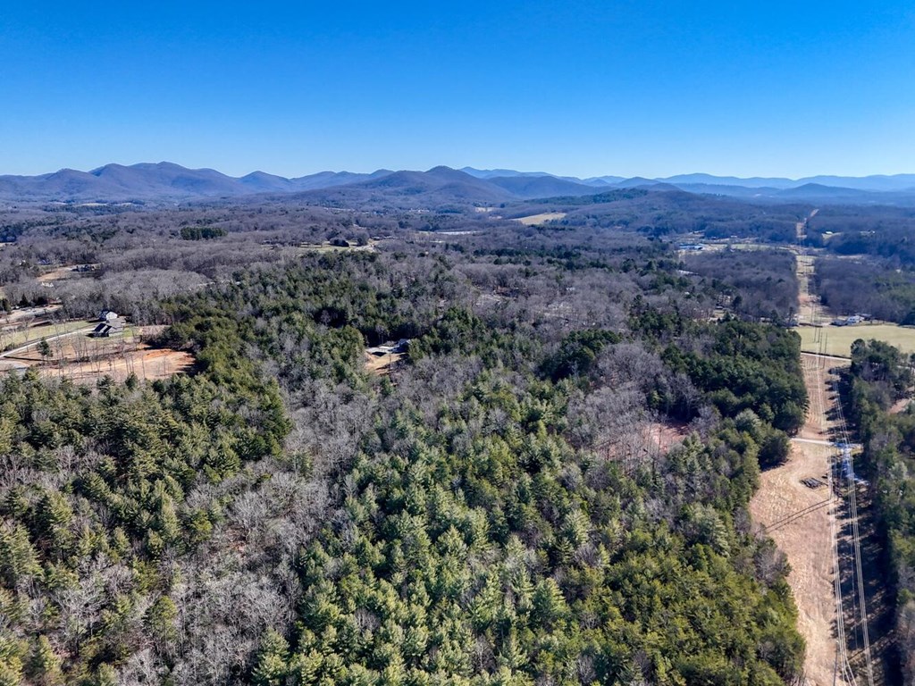 1661 Mauney Circle Blairsville, GA 30512 - Photo 57 of 63