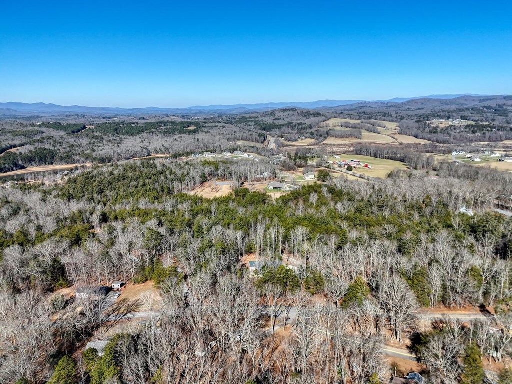 1661 Mauney Circle Blairsville, GA 30512 - Photo 59 of 63