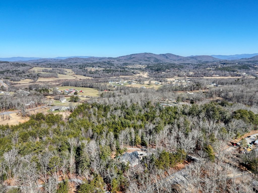 1661 Mauney Circle Blairsville, GA 30512 - Photo 61 of 63