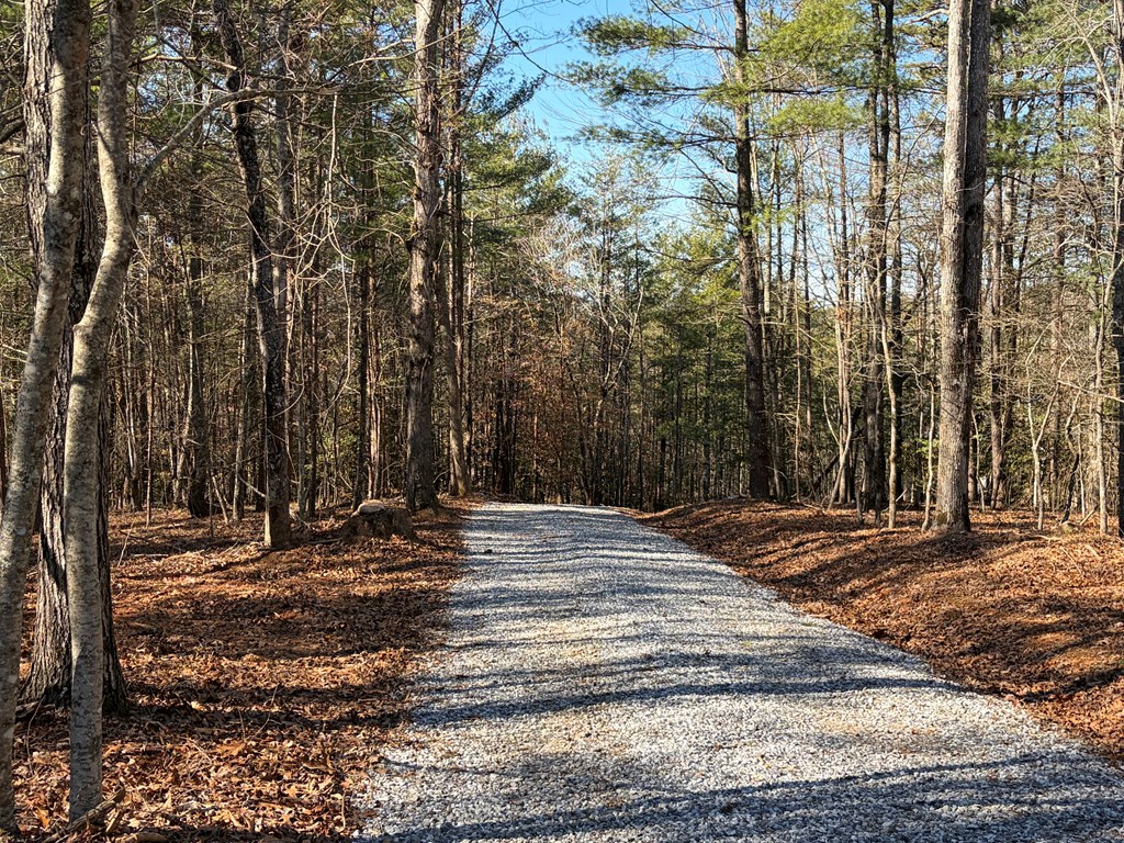 1661 Mauney Circle Blairsville, GA 30512 - Photo 63 of 63