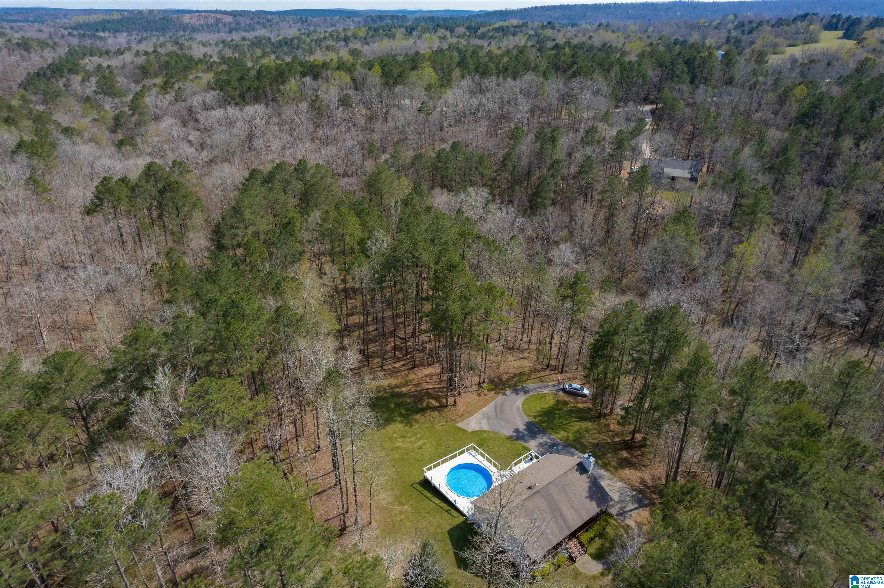 184 Sequoyah Road Pell City, AL 35128 - Photo 3 of 46