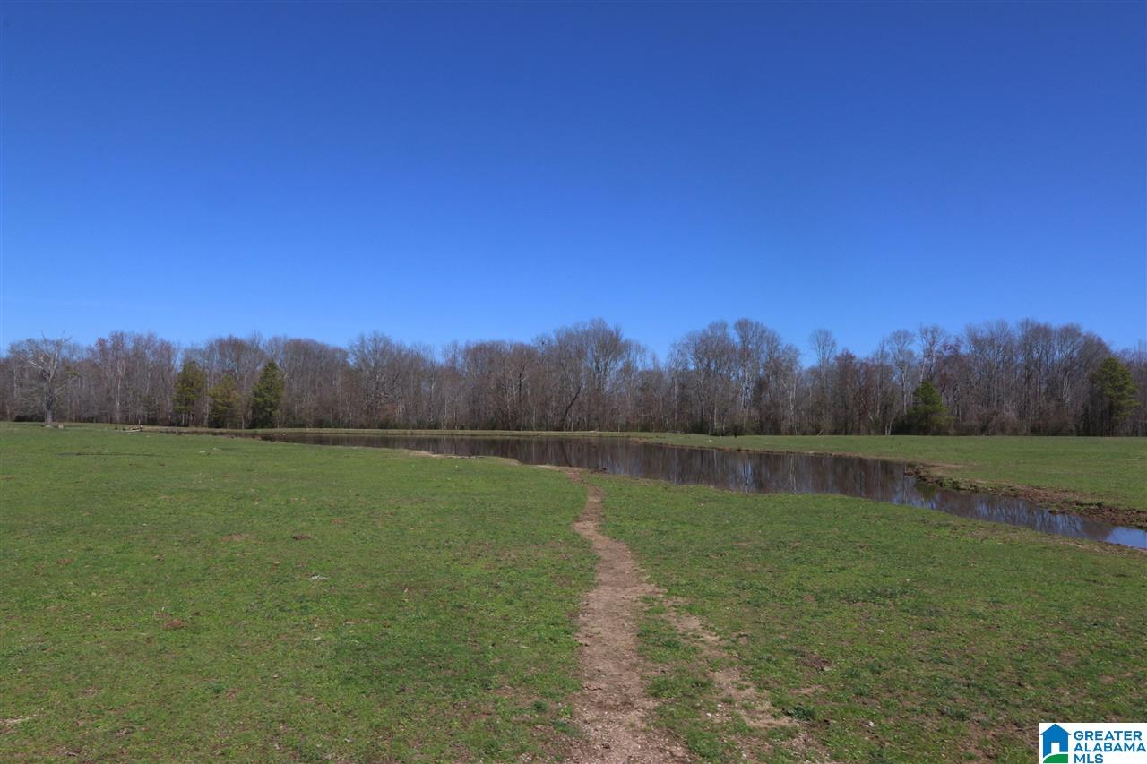 0 Double Bridge Road, Unit 286 Ashville, AL 35953 - Photo 19 of 34