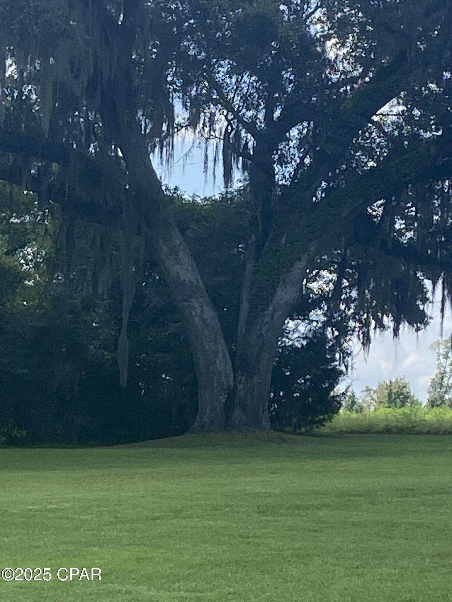 1386 Parker Road Grand Ridge, FL 32442 - Photo 4 of 23