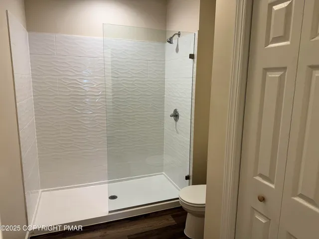 a bathroom with a shower and a toilet