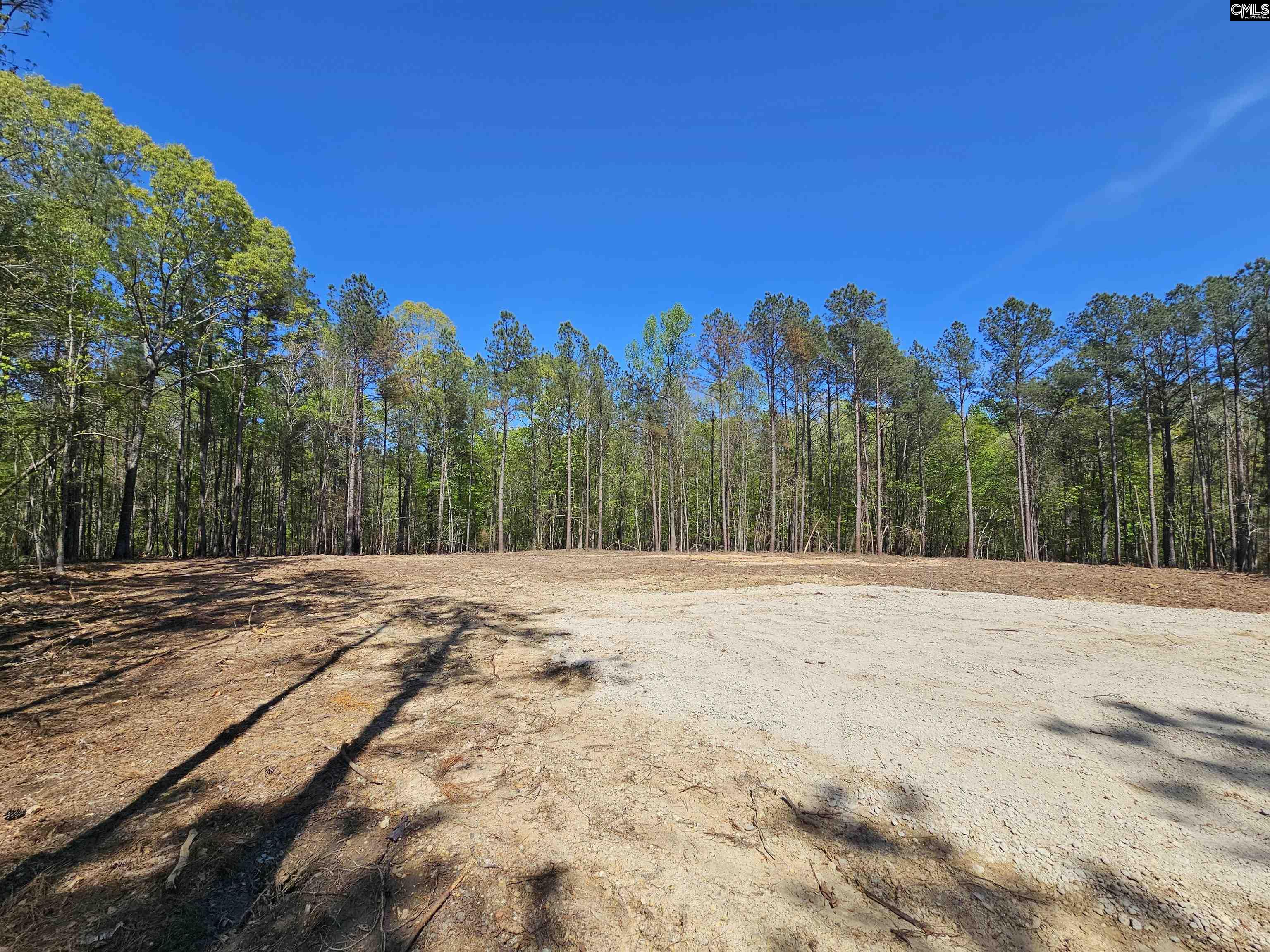 Lot 230 Granny Hill Road Prosperity, SC 29127 - Photo 8 of 42