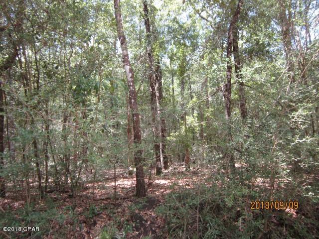 0 Harcus Road Caryville, FL 32427 - Photo 2 of 7 Gallery Image 2