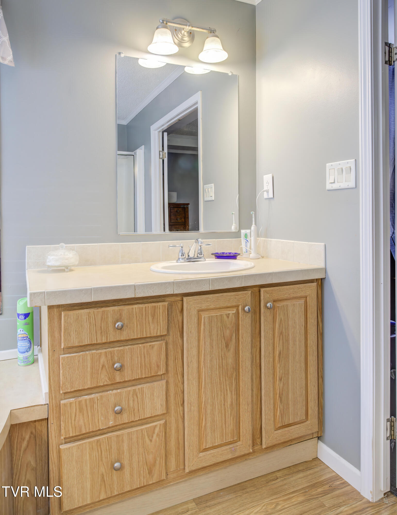 617 Telford New Victory Road Telford, TN 37690 - Photo 26 of 48 617 Telford New Victory (32)