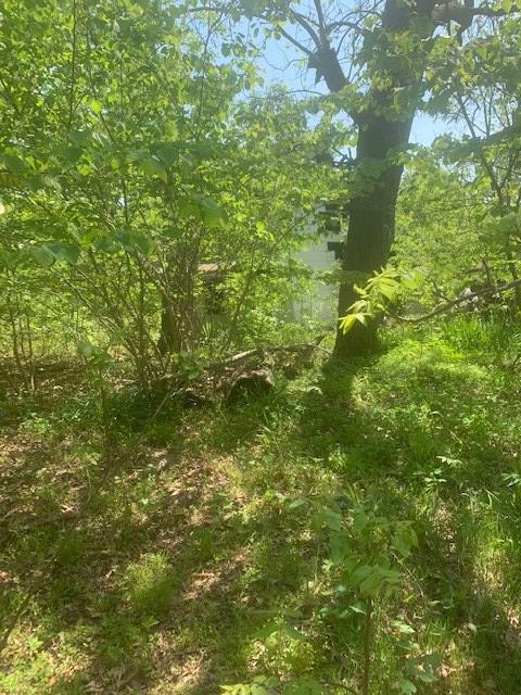 633 Virso Road Meherrin, VA 23954 - Photo 2 of 4 Gallery Image 2