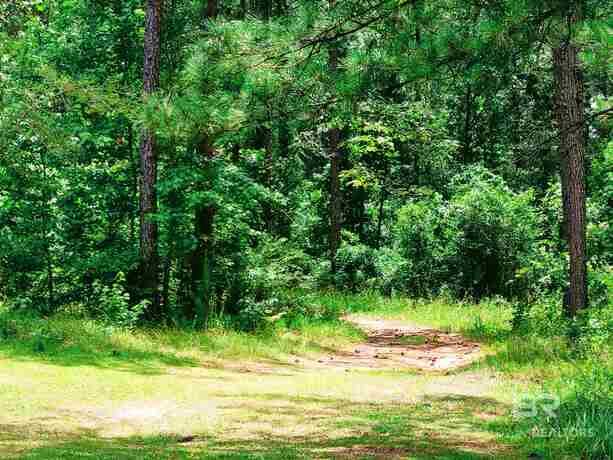 0 Highway 17 Millry, AL 36558 - Photo 21 of 73 Gallery Image 21