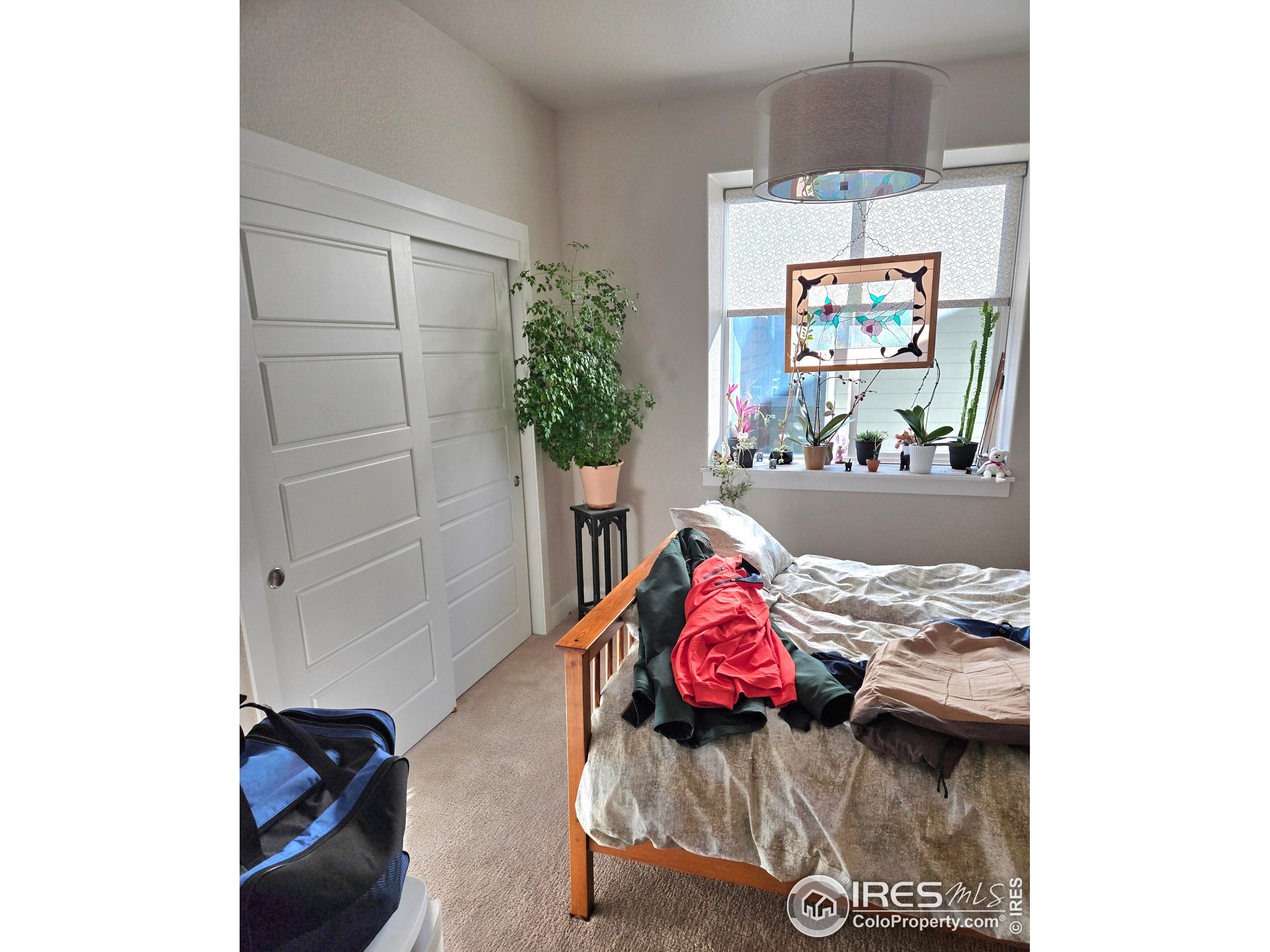 7292 McClellan Road Wellington, CO 80549 - Photo 7 of 19 a bedroom with a bed and a potted plant