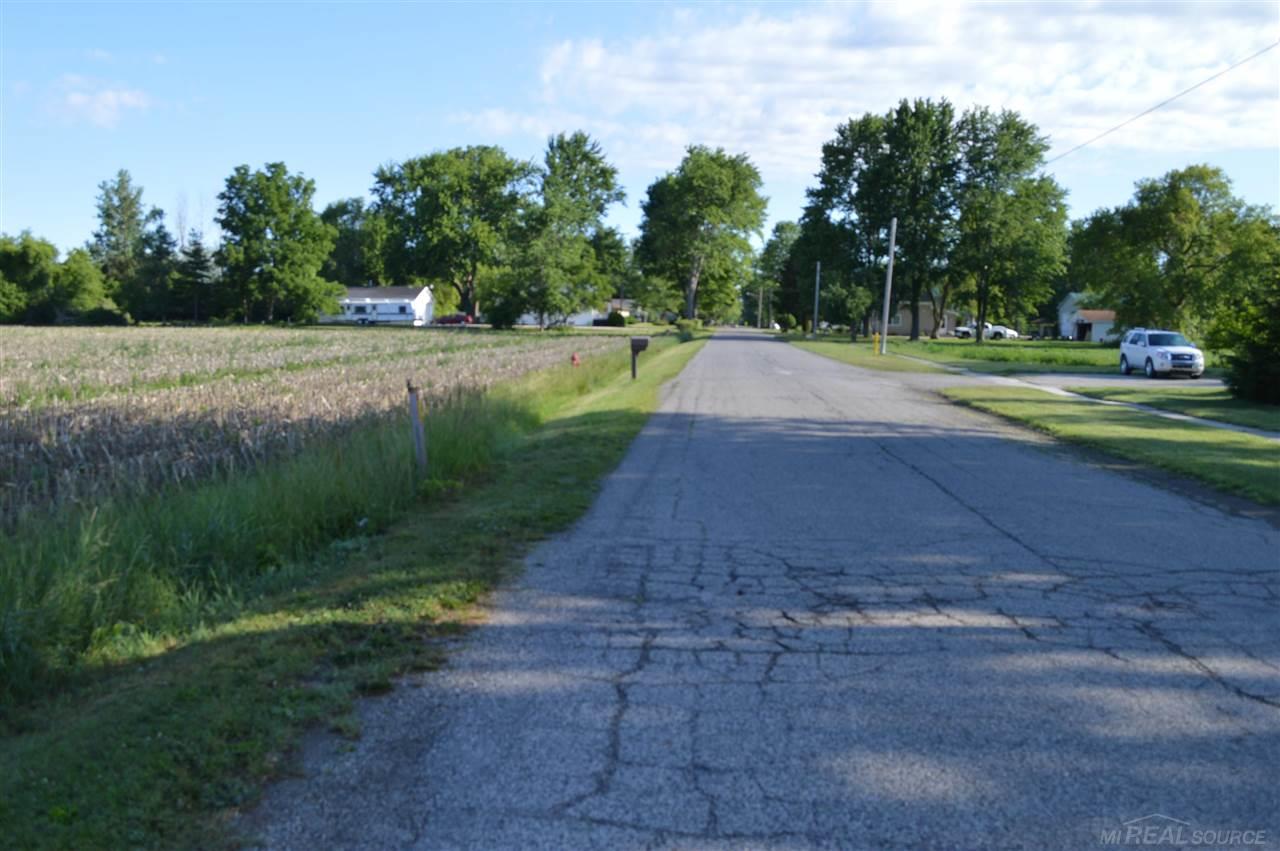 5 Belle River Road Memphis, MI 48041 - Photo 3 of 4