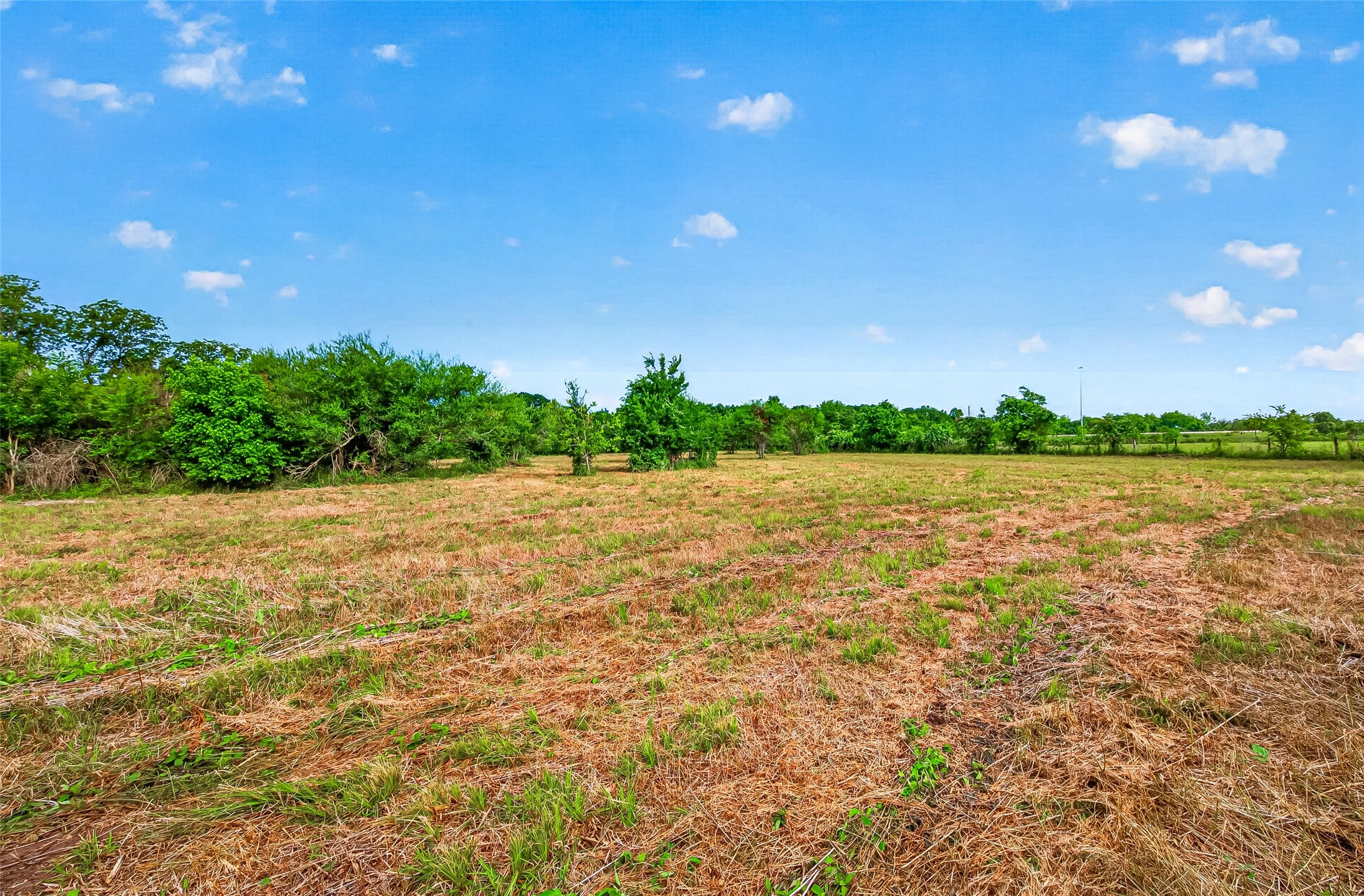 0 Elberta Lane Brookshire, TX 77423 - Photo 13 of 16
