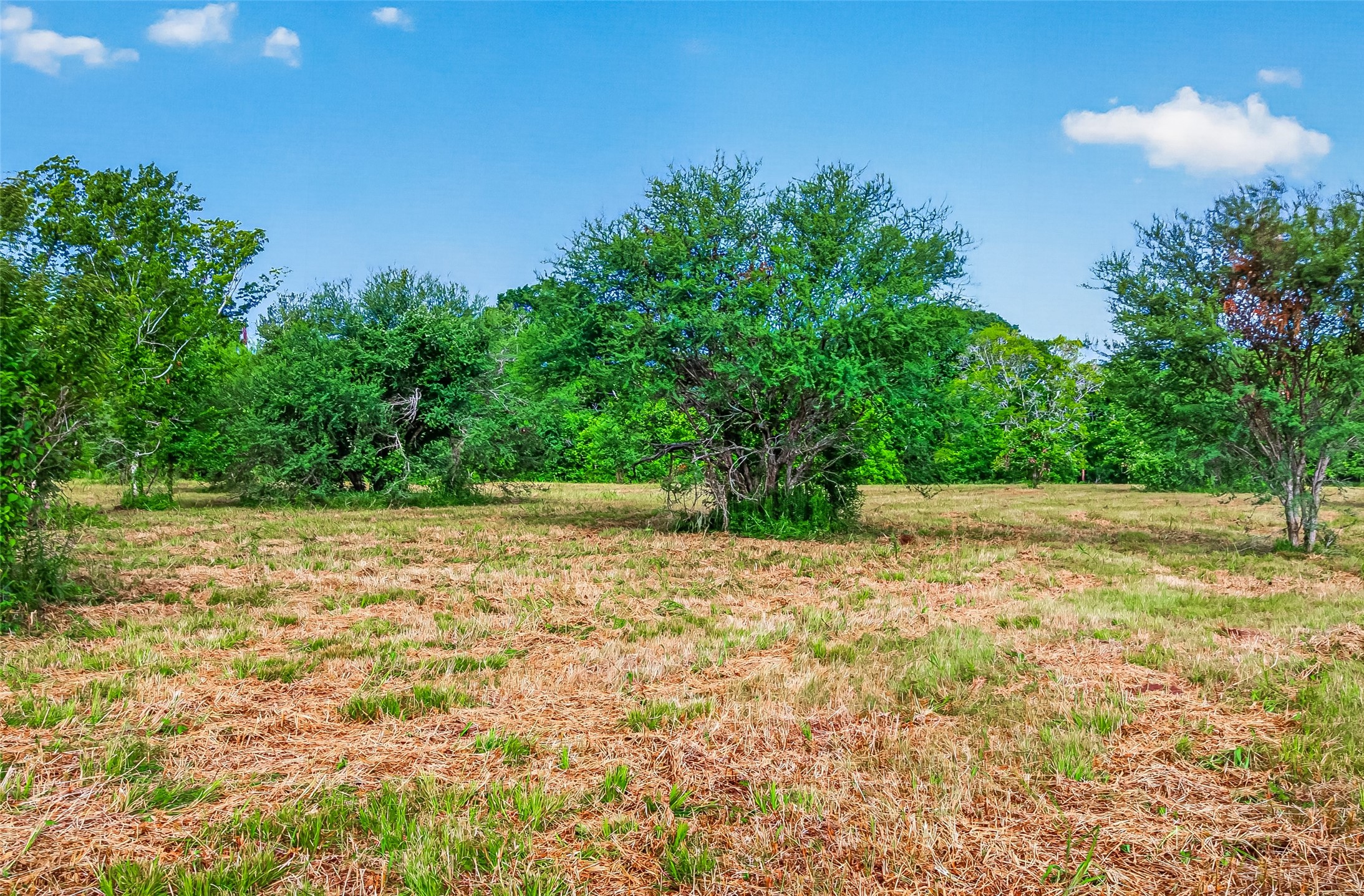 0 Elberta Lane Brookshire, TX 77423 - Photo 14 of 16