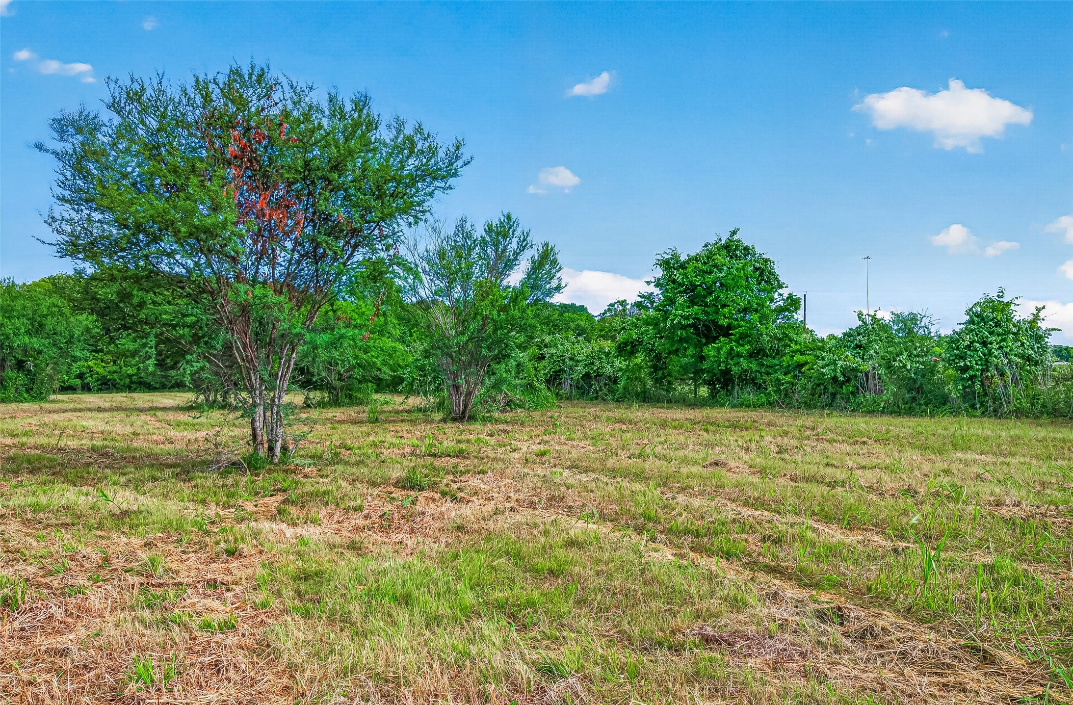 0 Elberta Lane Brookshire, TX 77423 - Photo 15 of 16