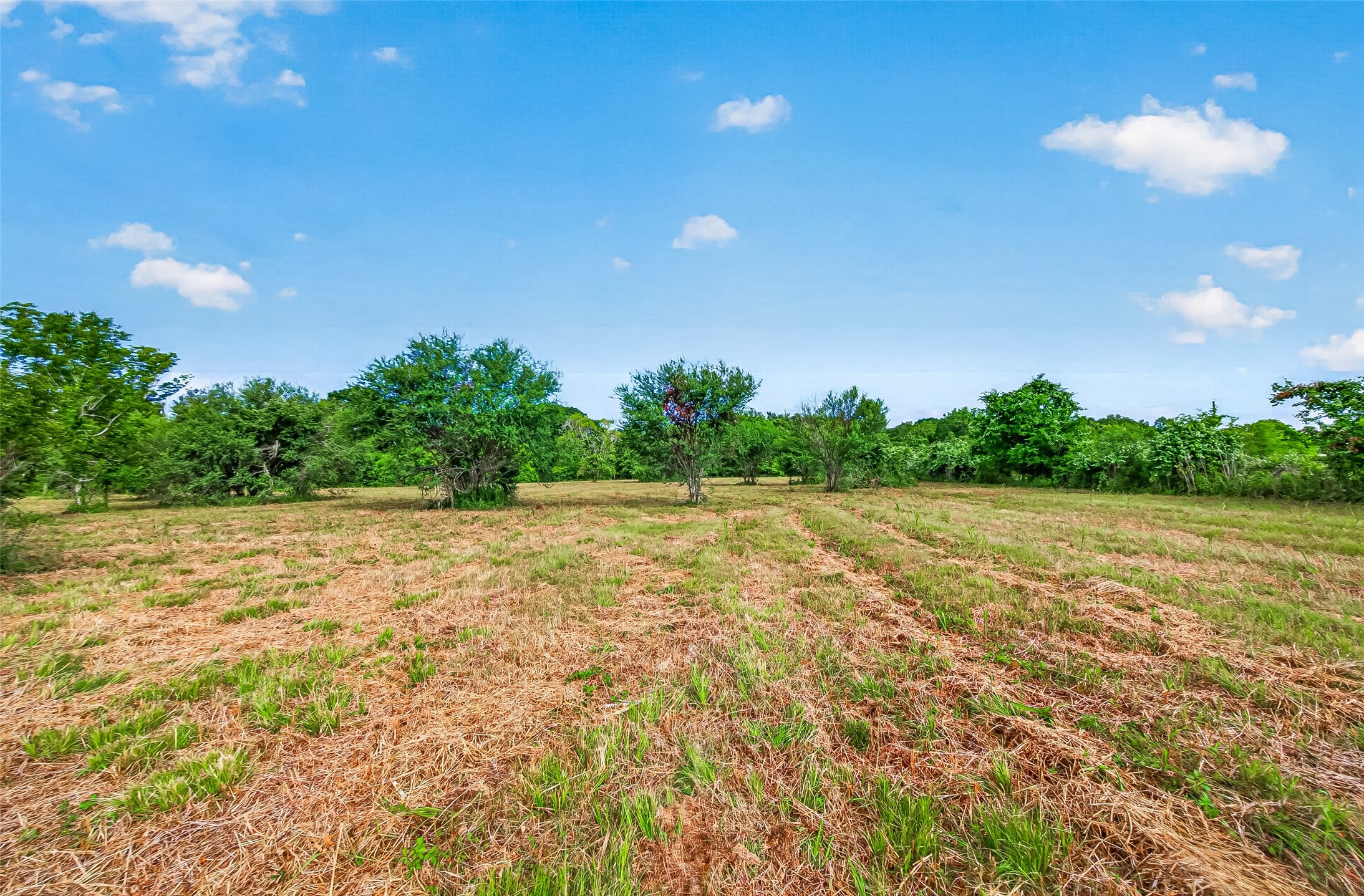 0 Elberta Lane Brookshire, TX 77423 - Photo 16 of 16