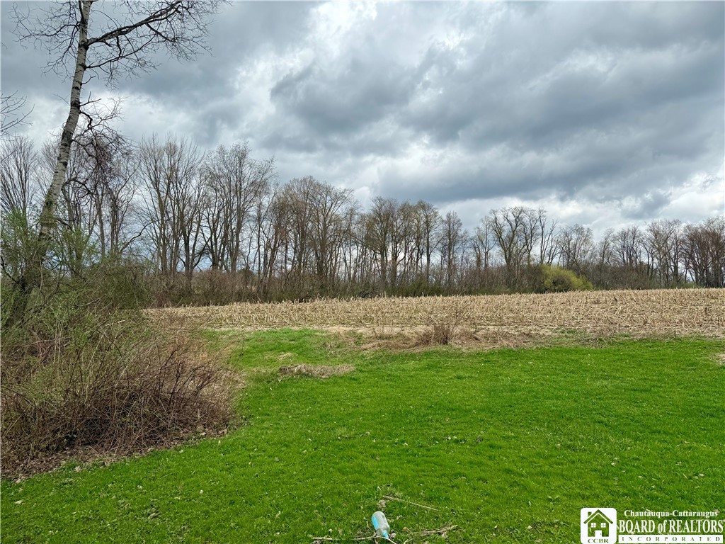 12296 Gulf Road Leon, NY 14138 - Photo 13 of 46
