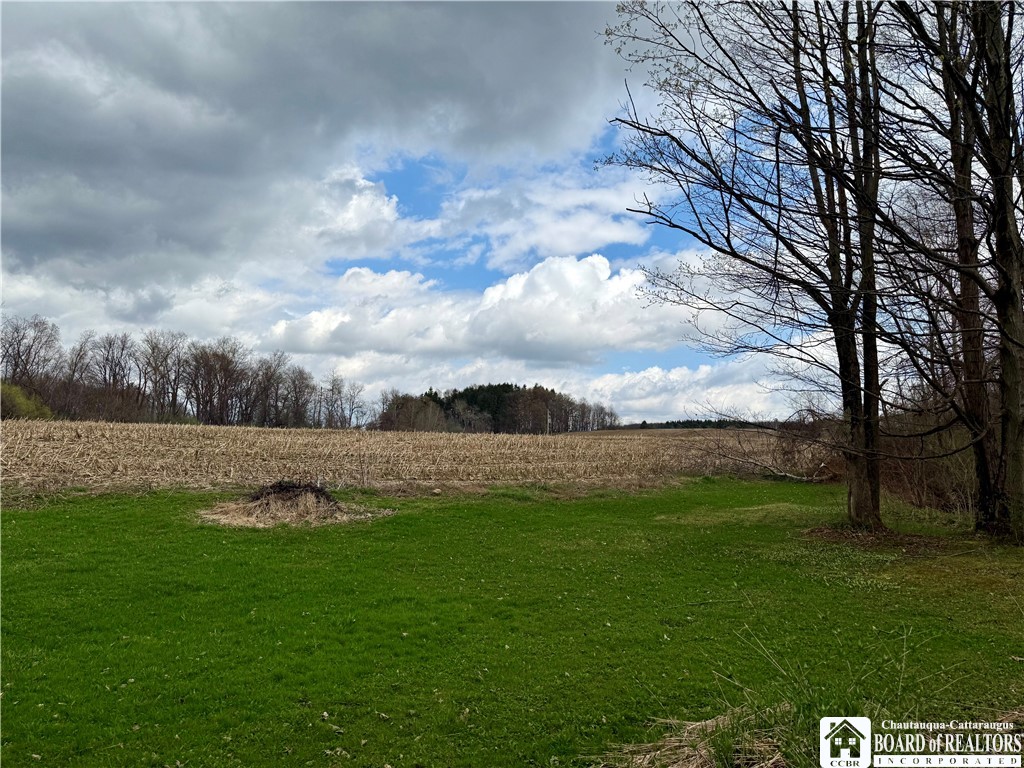 12296 Gulf Road Leon, NY 14138 - Photo 14 of 46