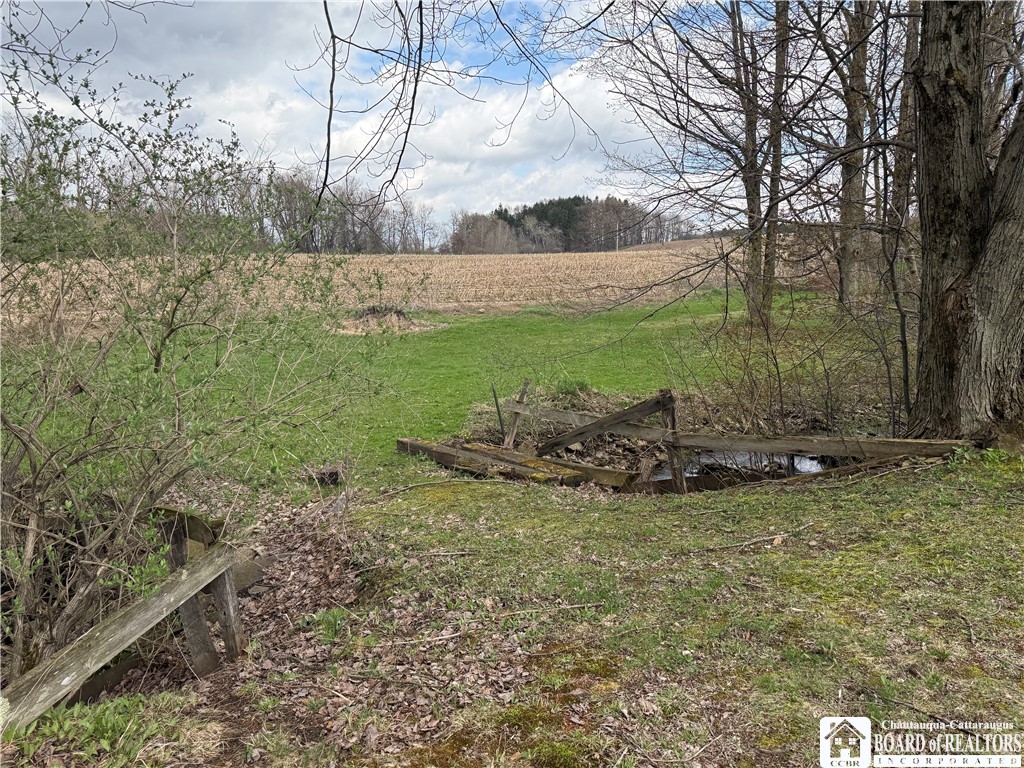 12296 Gulf Road Leon, NY 14138 - Photo 15 of 46