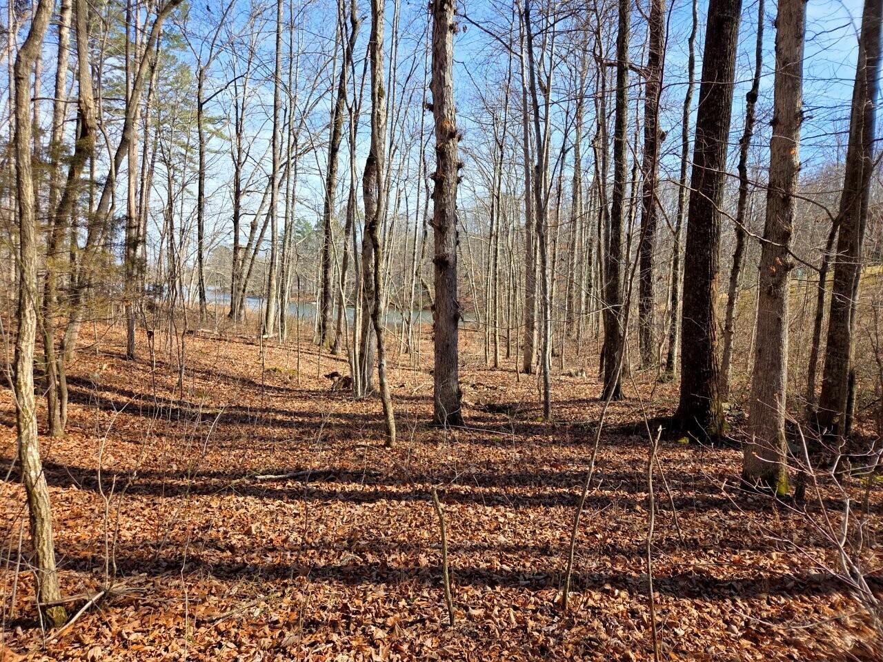 0 Fawn Circle Dunlap, TN 37327 - Photo 2 of 3 Tract-16