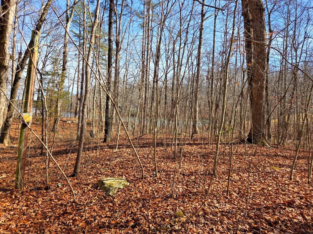 0 Fawn Circle Dunlap, TN 37327 - Photo 3 of 3 Tract-16