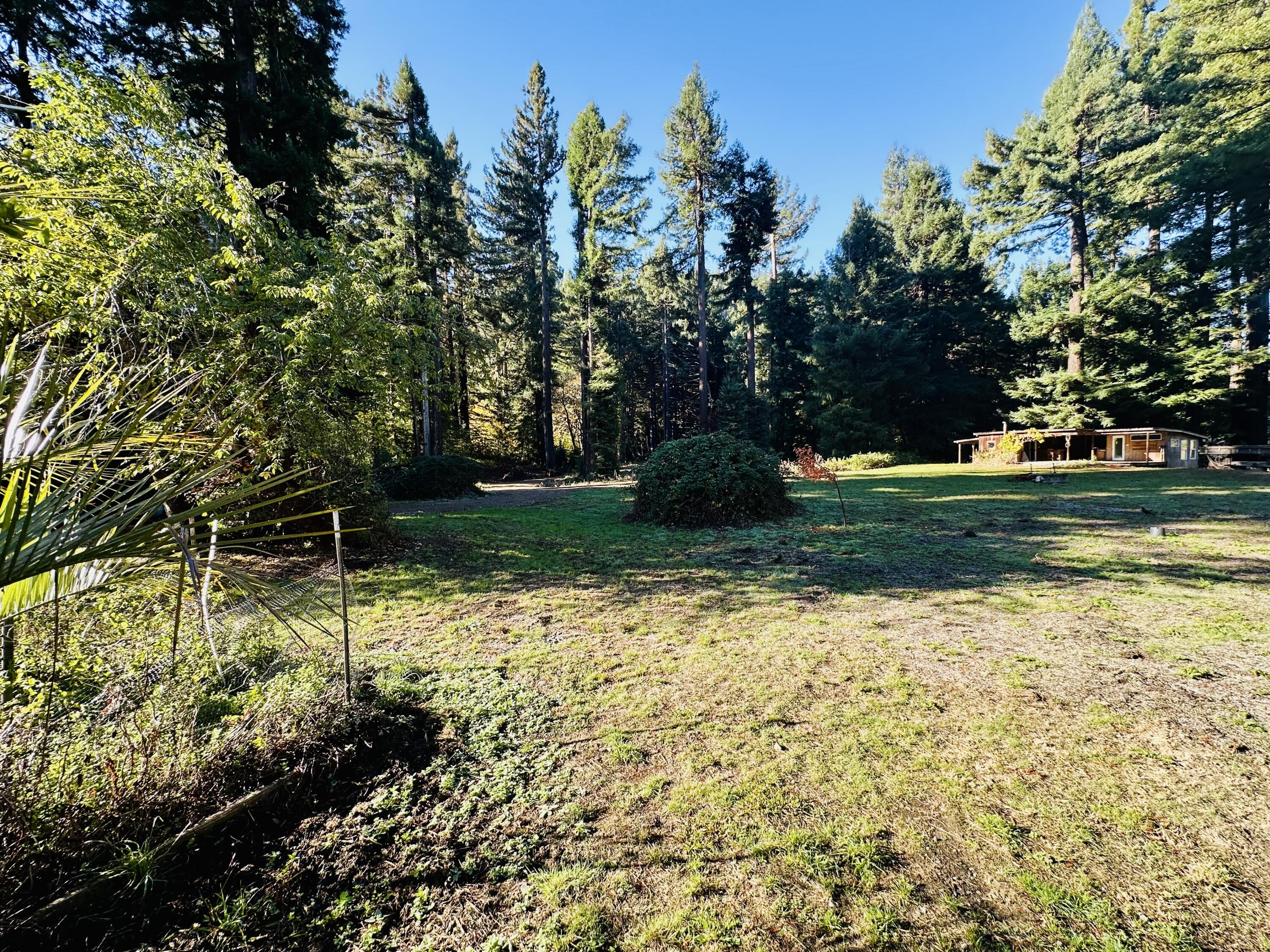 3330 Whitlow Road Myers Flat, CA 95554 - Photo 90 of 96