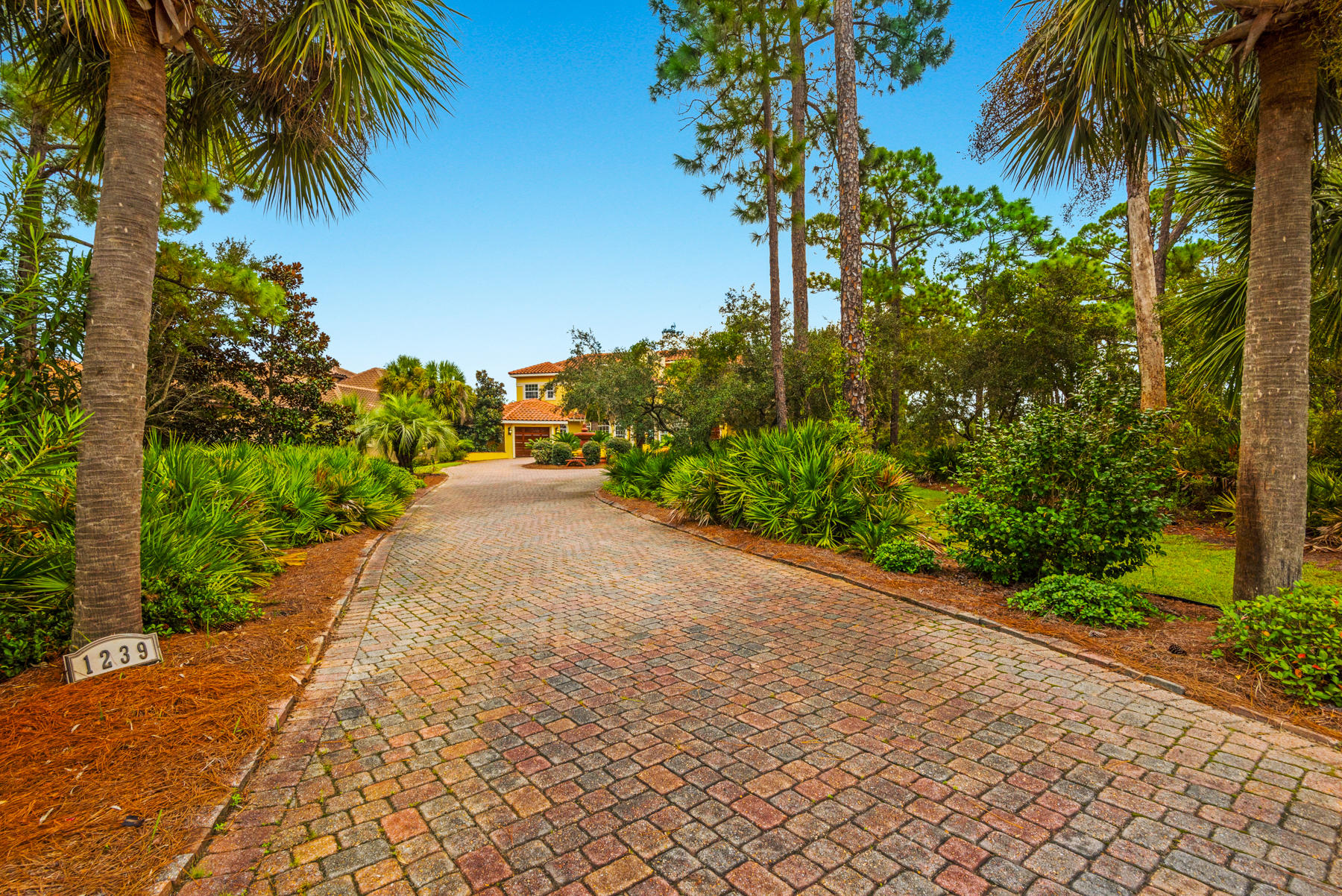 1239 Driftwood Point Road Santa Rosa Beach, FL 32459 - Photo 62 of 66 a view of a yard with potted plants
