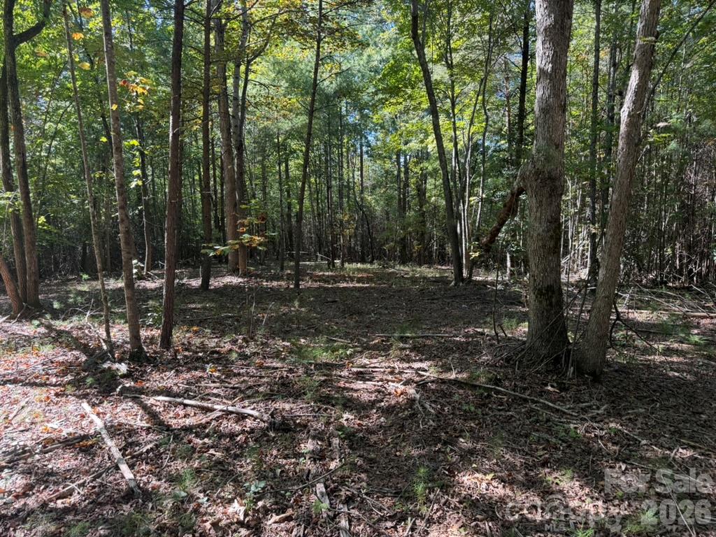 3523 Pax Hill Road Morganton, NC 28655 - Photo 6 of 14 Gallery Image 6