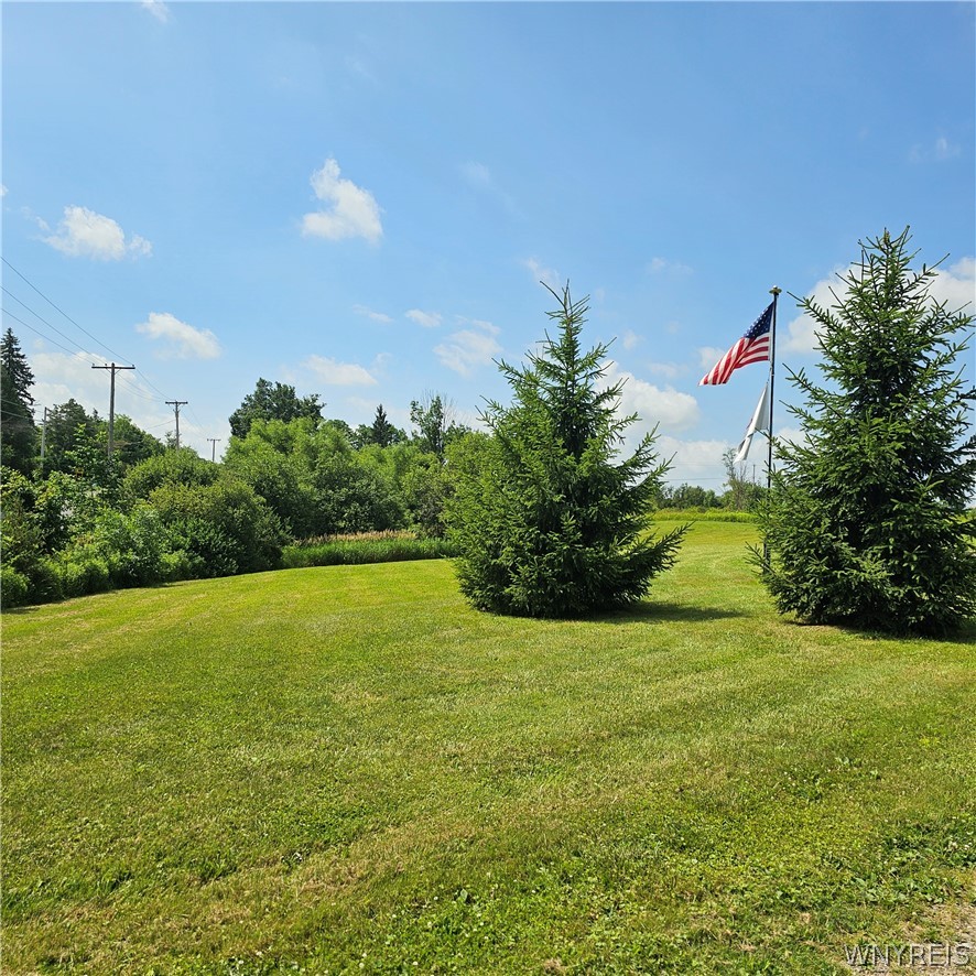10248 Clarksburg Road North Collins, NY 14057 - Photo 27 of 35