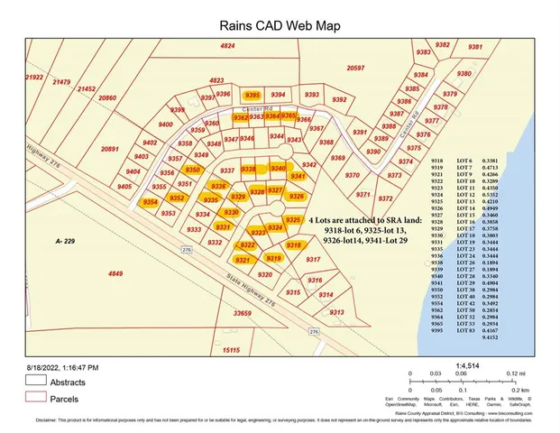 a lush green forest view