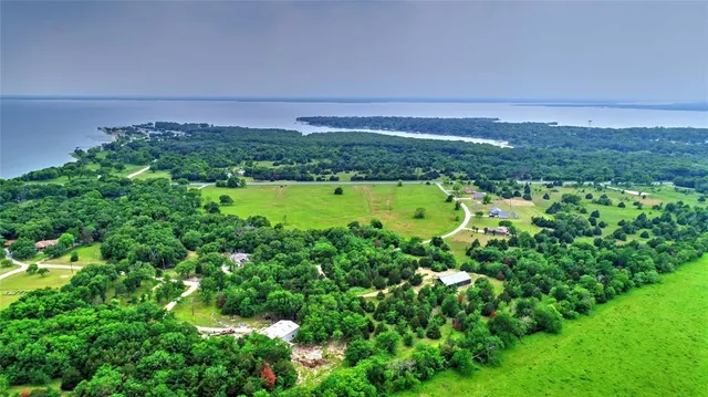 a view of a green field with lots of bushes