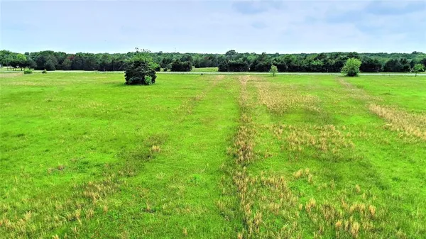a view of a park with large trees