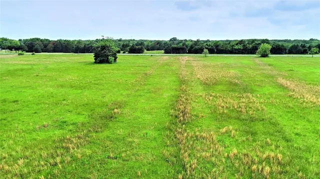 a view of a park with large trees