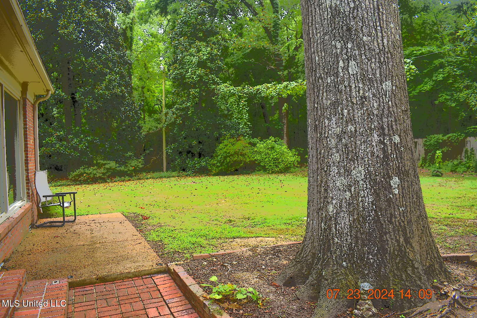 505 Butler Street Sardis, MS 38666 - Photo 8 of 19 _DSC0353