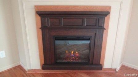 725 Mayer Road St. Clair, MI 48079 - Photo 9 of 22 Fireplace.JPG