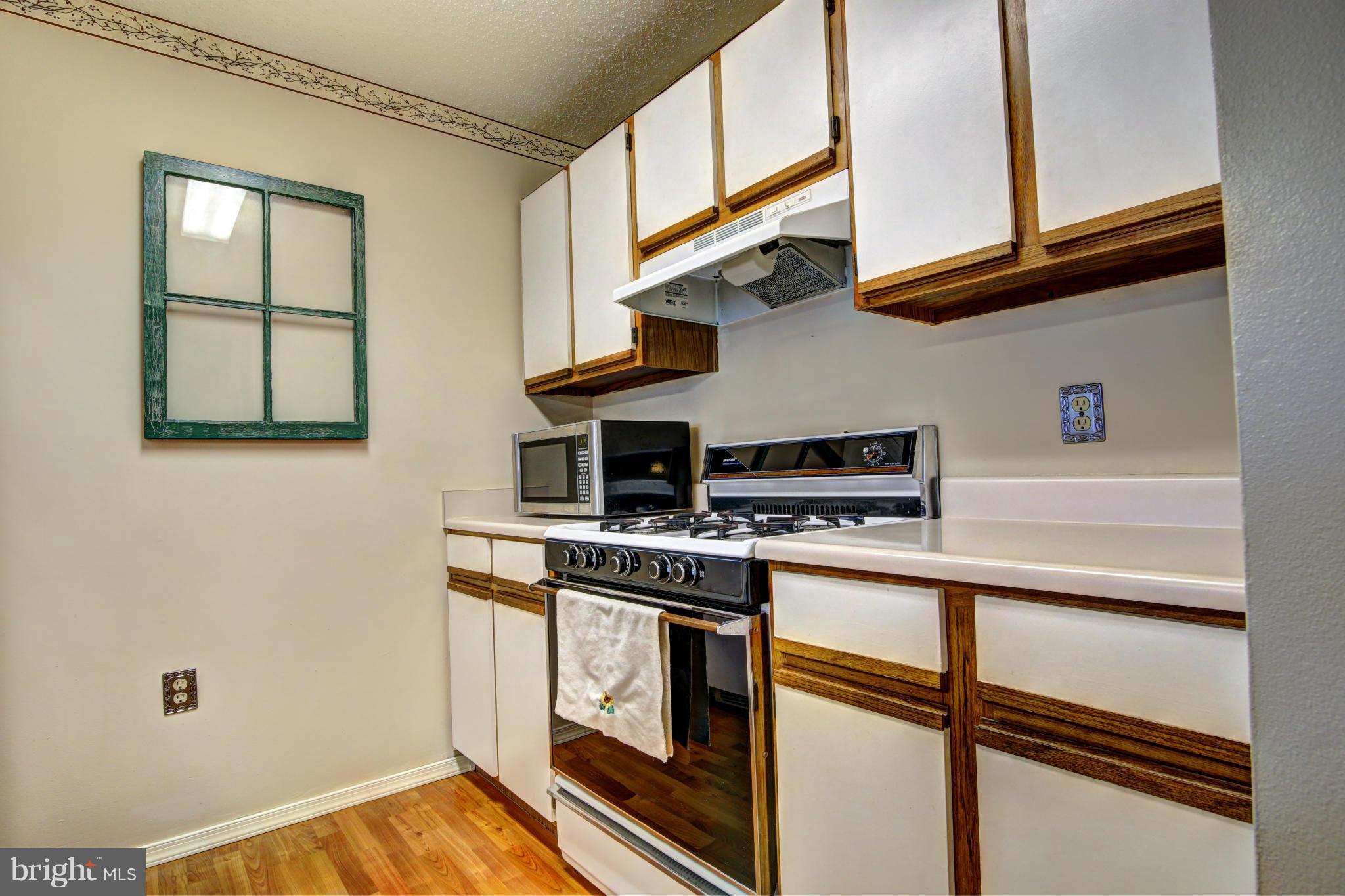 21033 Timber Ridge Terrace, Unit 202 Ashburn, VA 20147 - Photo 4 of 20 Kitchen