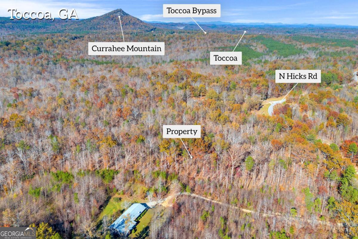 Lot 12 North Hicks Road Toccoa, GA 30577 - Photo 2 of 25