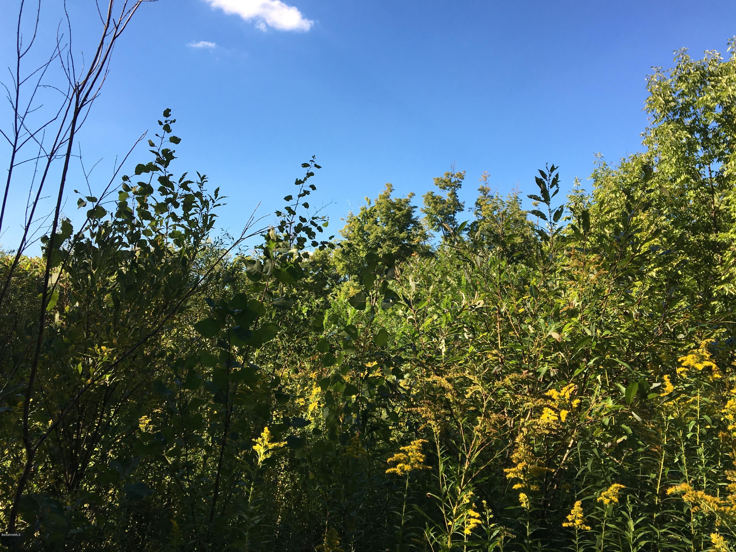New Hartford Road Sandisfield, MA 01255 - Photo 1 of 2 view of a green field