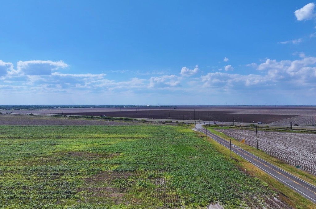 Tbd Fm 1944 Odem, TX 78370 - Photo 4 of 6