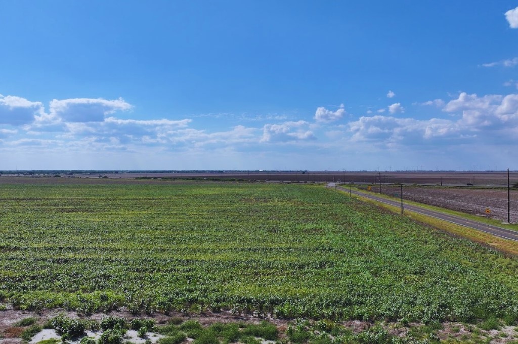 Tbd Fm 1944 Odem, TX 78370 - Photo 5 of 6