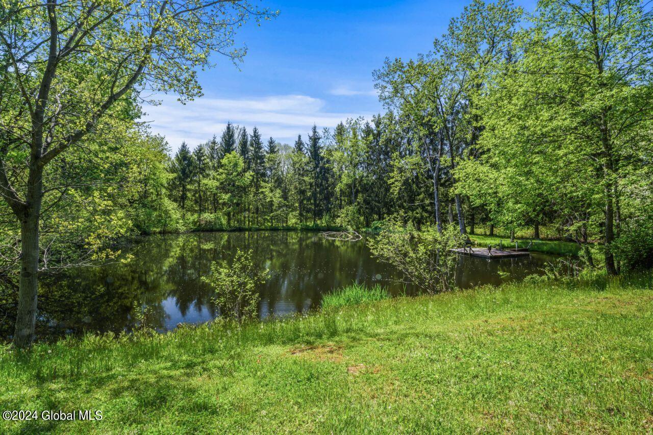 60 Dickensen Road Buskirk, NY 12028 - Photo 47 of 66 56_