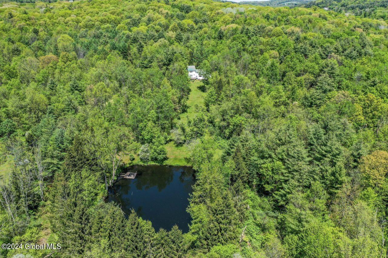 60 Dickensen Road Buskirk, NY 12028 - Photo 50 of 66 6_