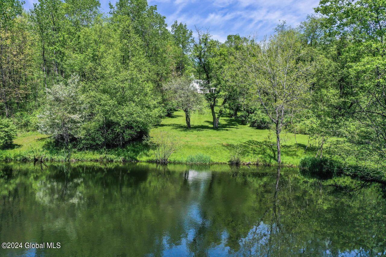 60 Dickensen Road Buskirk, NY 12028 - Photo 5 of 66 8_