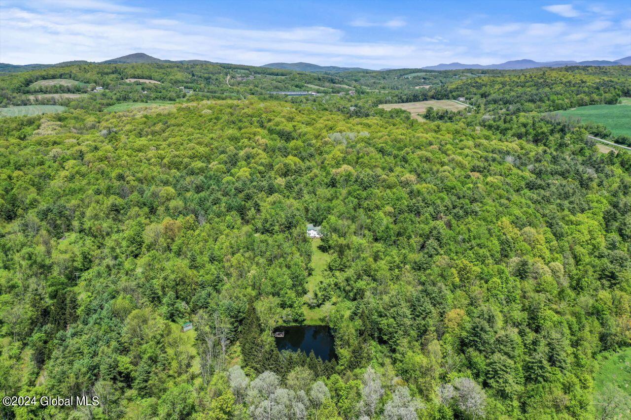 60 Dickensen Road Buskirk, NY 12028 - Photo 61 of 66 5_
