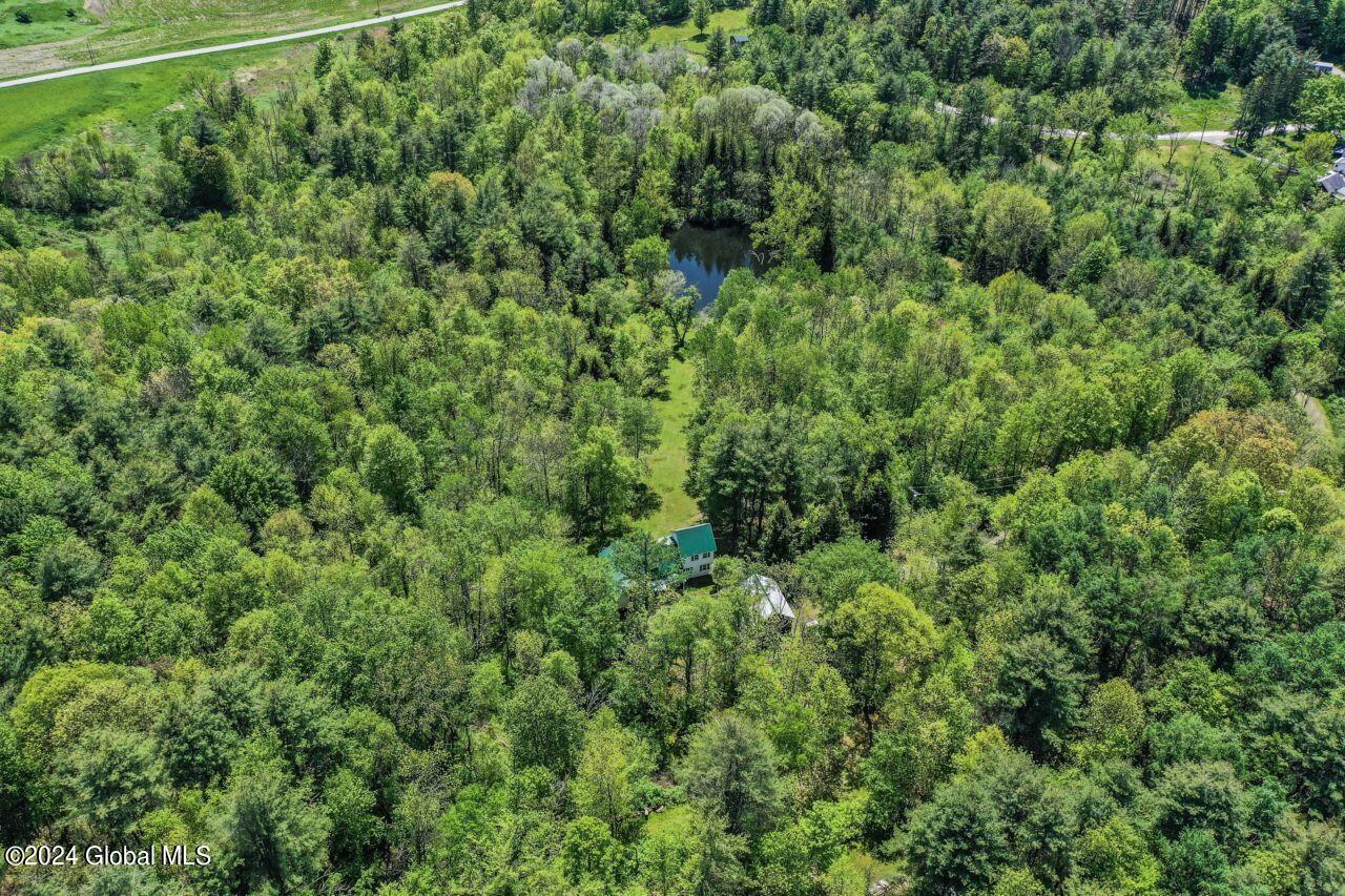 60 Dickensen Road Buskirk, NY 12028 - Photo 66 of 66 11_