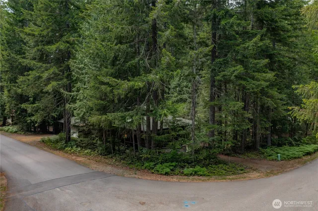 a view of a street with a trees