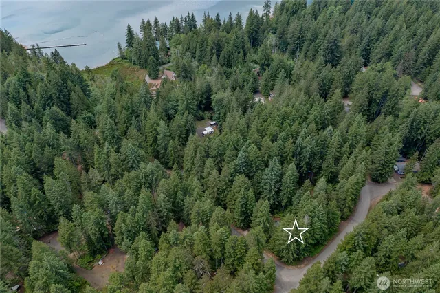 an aerial view of residential house with outdoor space and trees all around
