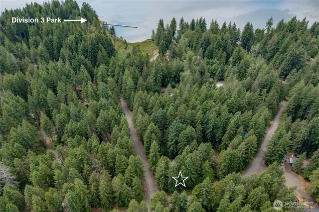 an aerial view of a forest with houses