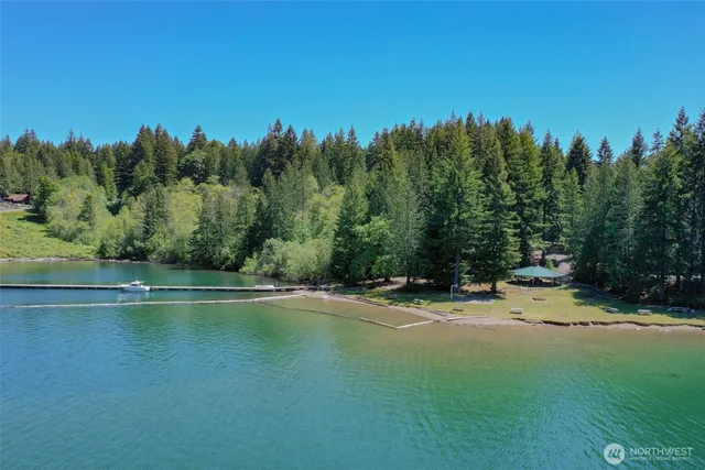a view of swimming pool with a yard and trees in the background
