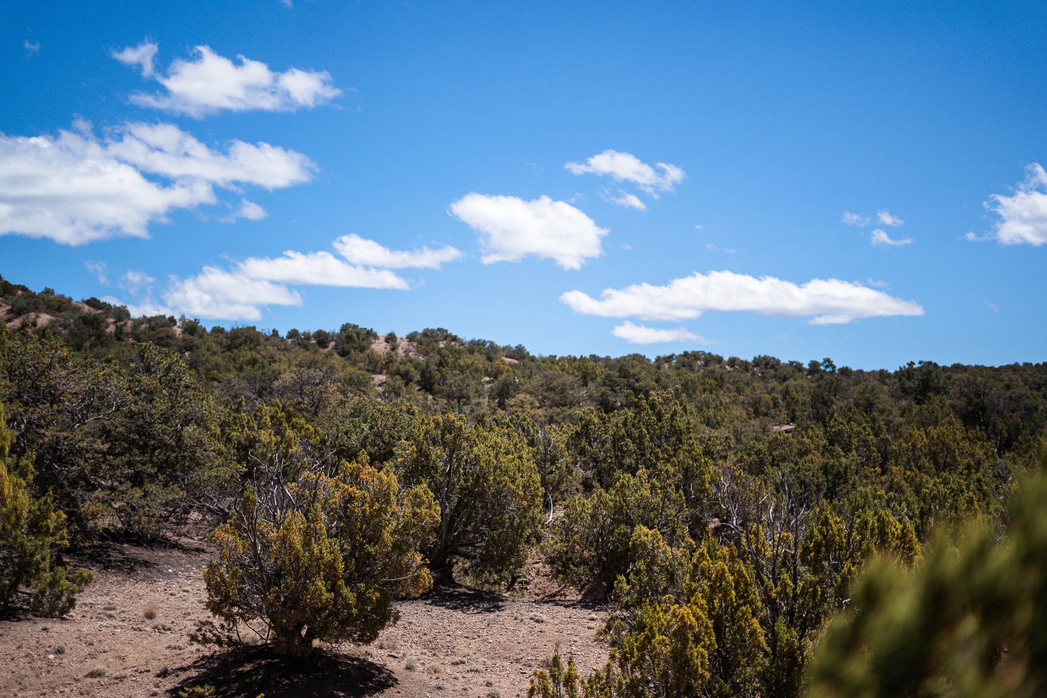 67-acres Red Ridge Santa Fe, NM 87501 - Photo 25 of 40 North Lot