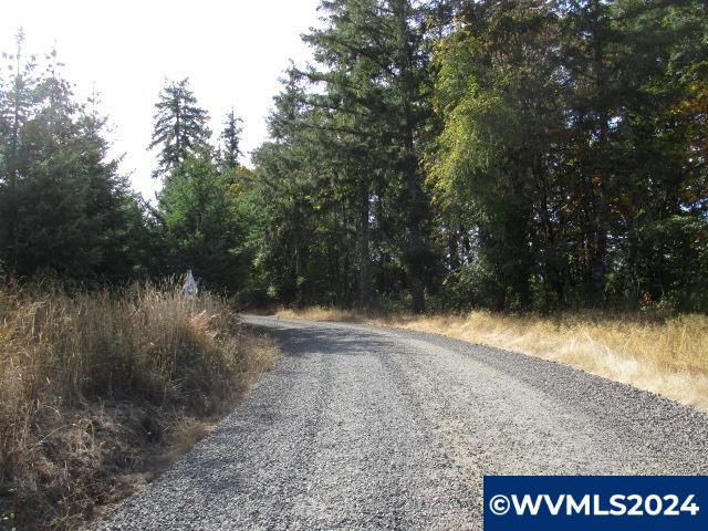 0 Northwest Crane (4) Road Yamhill, OR 97148 - Photo 8 of 12